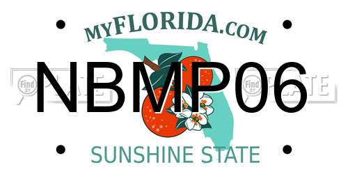 NBMP06 Florida License Plate