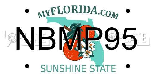 NBMP95 Florida License Plate