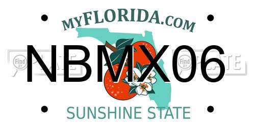 NBMX06 Florida License Plate