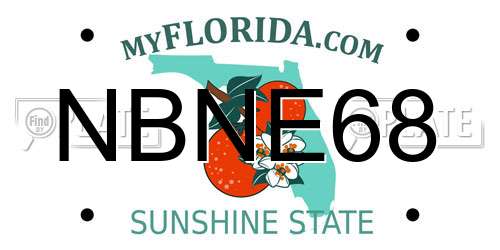 NBNE68 Florida License Plate