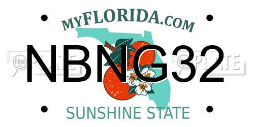 NBNG32 Florida License Plate