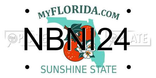 NBNI24 Florida License Plate