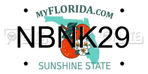 NBNK29 Florida License Plate