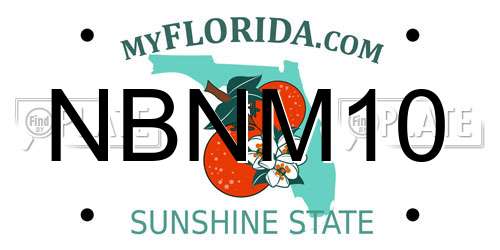 NBNM10 Florida License Plate