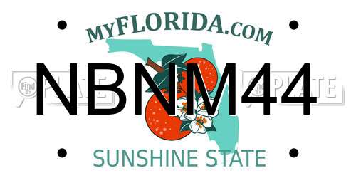 NBNM44 Florida License Plate