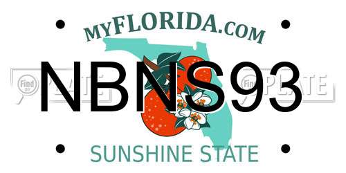NBNS93 Florida License Plate
