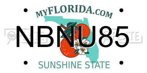 NBNU85 Florida License Plate