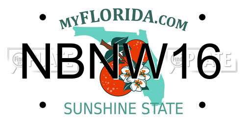 NBNW16 Florida License Plate