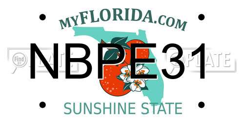 NBPE31 Florida License Plate