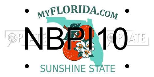 NBPI10 Florida License Plate