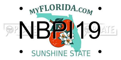 NBPI19 Florida License Plate