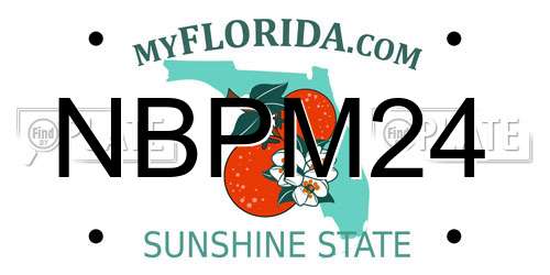 NBPM24 Florida License Plate