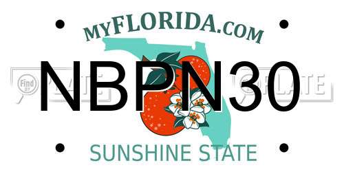 NBPN30 Florida License Plate
