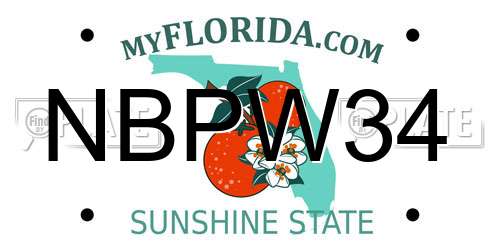 NBPW34 Florida License Plate