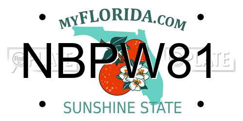 NBPW81 Florida License Plate