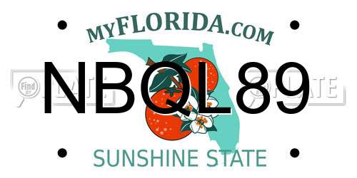 NBQL89 Florida License Plate
