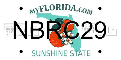 NBRC29 Florida License Plate