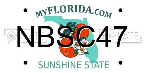 NBSC47 Florida License Plate