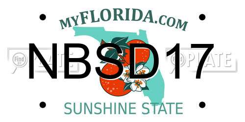 NBSD17 Florida License Plate