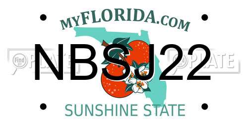 NBSJ22 Florida License Plate