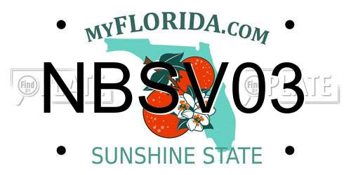NBSV03 Florida License Plate