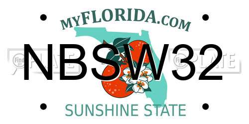 NBSW32 Florida License Plate