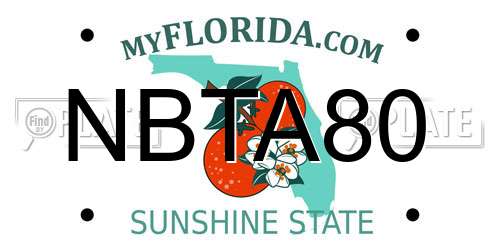 NBTA80 Florida License Plate
