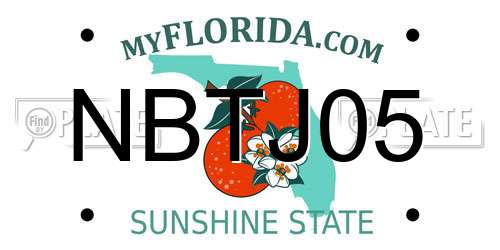 NBTJ05 Florida License Plate