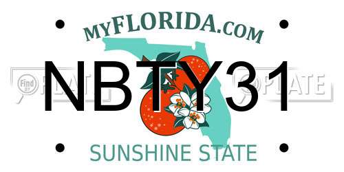 NBTY31 Florida License Plate