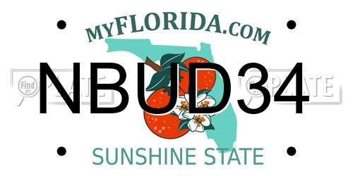 NBUD34 Florida License Plate