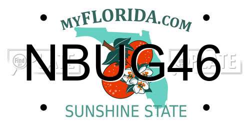 NBUG46 Florida License Plate