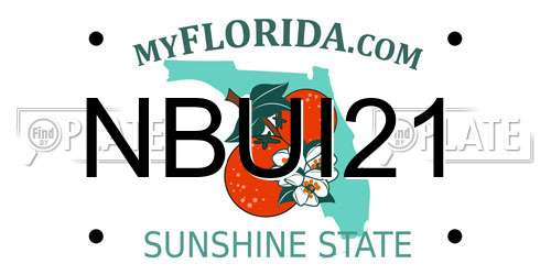 NBUI21 Florida License Plate