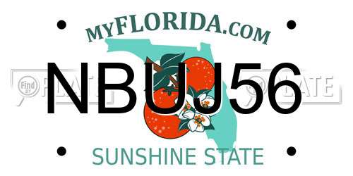 NBUJ56 Florida License Plate