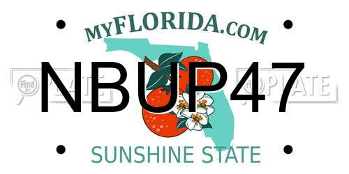 NBUP47 Florida License Plate