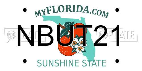 NBUT21 Florida License Plate