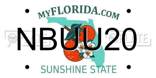NBUU20 Florida License Plate