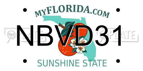 NBVD31 Florida License Plate