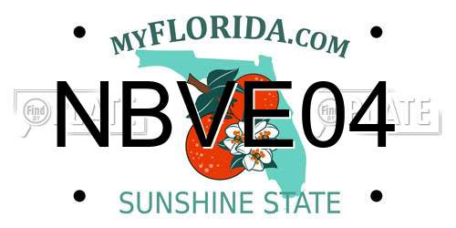 NBVE04 Florida License Plate