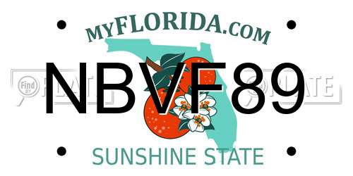 NBVF89 Florida License Plate