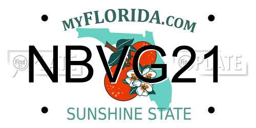 NBVG21 Florida License Plate