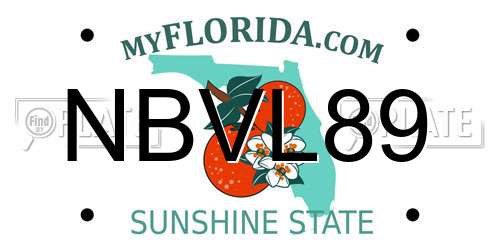 NBVL89 Florida License Plate