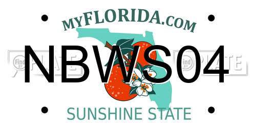 NBWS04 Florida License Plate