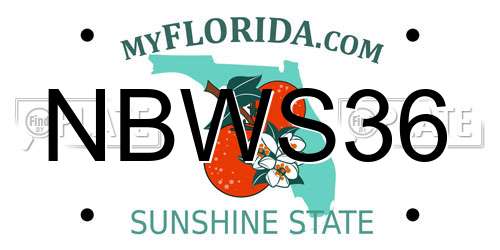 NBWS36 Florida License Plate