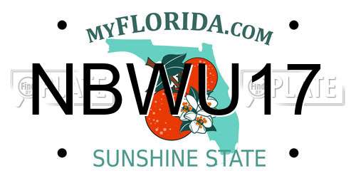 NBWU17 Florida License Plate