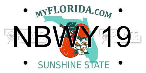 NBWY19 Florida License Plate