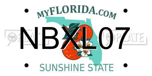 NBXL07 Florida License Plate