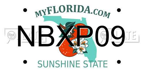 NBXP09 Florida License Plate