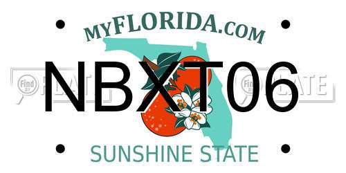 NBXT06 Florida License Plate