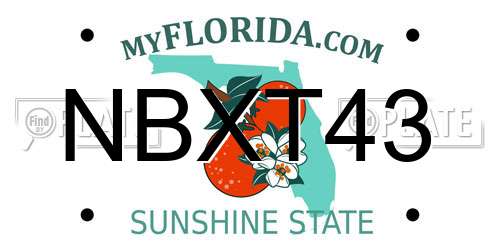 NBXT43 Florida License Plate