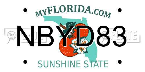 NBYD83 Florida License Plate